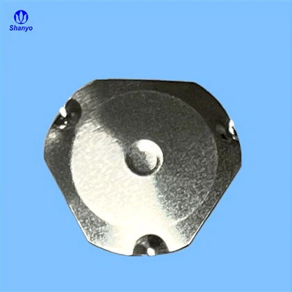 টি-সিরিজ স্ন্যাপ ডোম